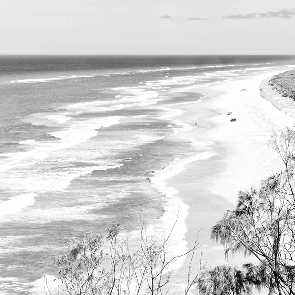 Na austrália a ilha de praia a árvore e rochas — Fotografia de Stock