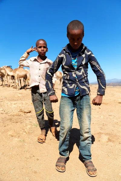 在埃塞俄比亚非洲年轻男孩在骆驼市场 — 图库照片