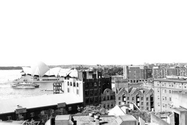 koyun ve şehir manzarası