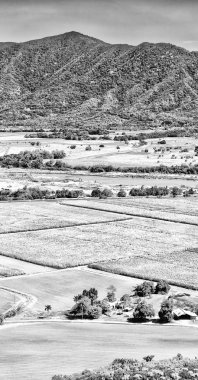 colutivation yüksek alan