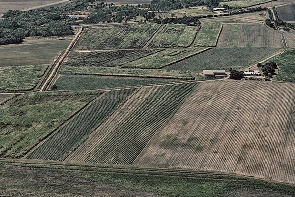 Do alto campo de colutivação — Fotografia de Stock