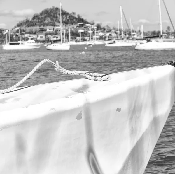 Ιστιοπλοΐα με catamaran πλώρη στον ωκεανό και λιμάνι — Φωτογραφία Αρχείου