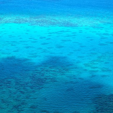  yüksek büyük resif