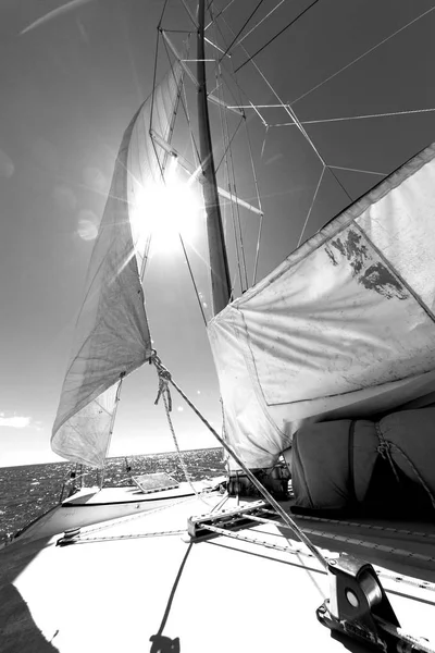 Austrália Conceito Navegação Velocidade Vento Com Vela — Fotografia de Stock