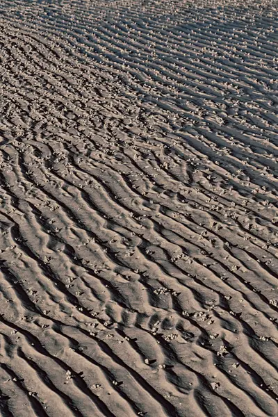 Australien Whitsunday Island Und Die Textur Abstrakt Des Weißen Strandes — Stockfoto