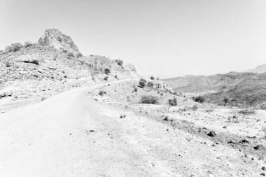  dağ ve tepe içinde milli park