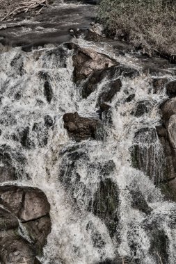 Afrika Milli Parkı ve Şelalesi Doğa Vahşi
