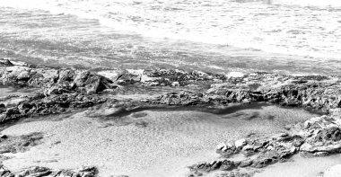 Avustralya'da plaja ada ağaç ve kayalar