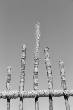  gökyüzü bambu ve ip soyut 