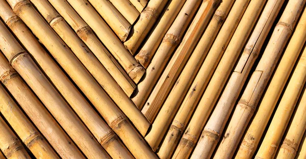 Abstract texture background of the bamboo wall — Stock Photo, Image