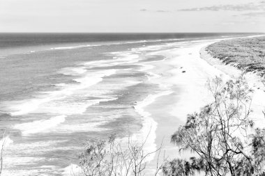 Avustralya'da plaja ada ağaç ve kayalar