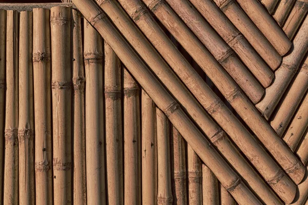 Abstrakta textur bakgrund av bambu vägg — Stockfoto