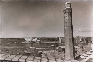 koyun ve şehir manzarası