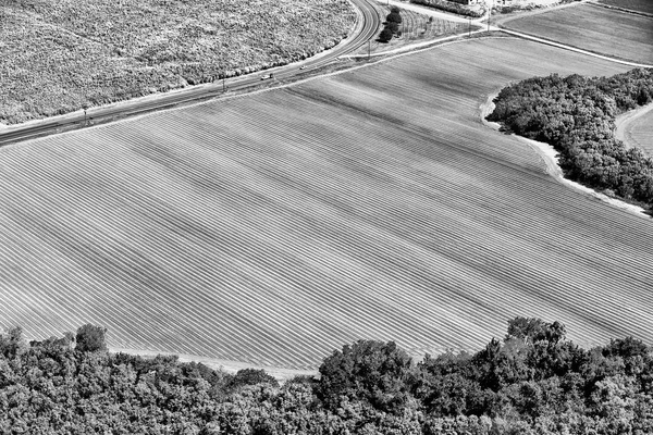 Del alto campo de la colutivación —  Fotos de Stock