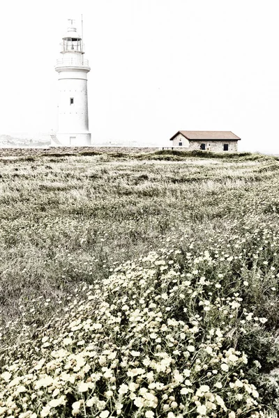En cyprus el viejo faro cerca de un campo de la flor — Foto de Stock