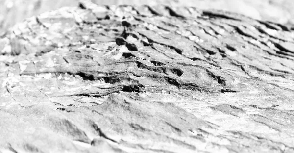 Arka plan doku kaya — Stok fotoğraf