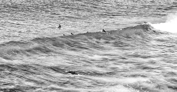 Gente en el océano surf y deporte — Foto de Stock