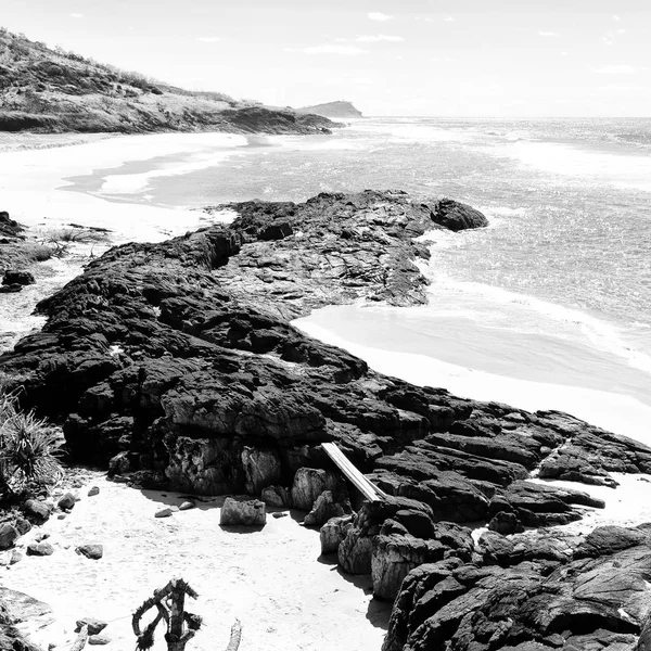 En Australie la plage île l'arbre et les rochers — Photo