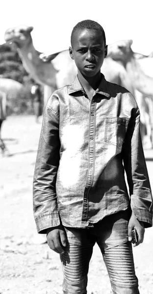 In   ethiopia africa  young boy in the camels market — Stock Photo, Image