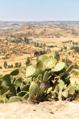  vadi dağ ve gökyüzü panorama 