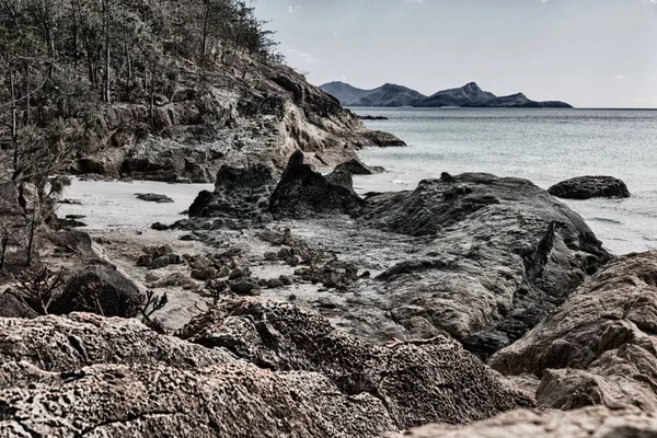 Avustralya'da plaja ada ağaç ve kayalar — Stok fotoğraf