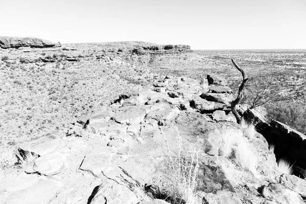 Kings canyon naturen vilda och outback — Stockfoto