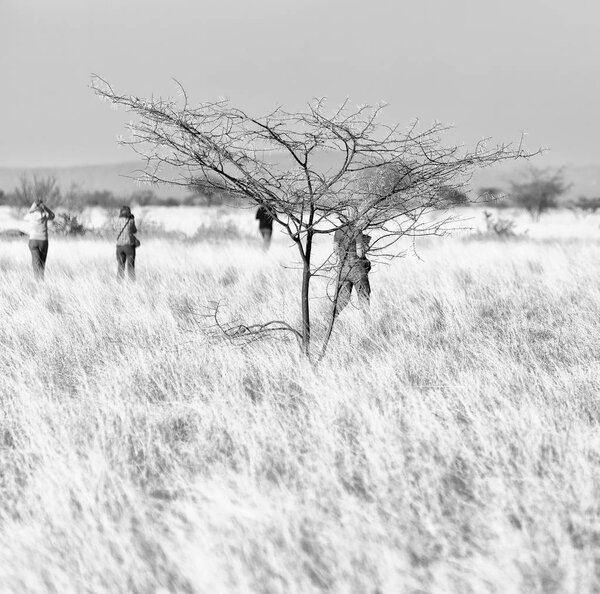 in   ethiopia africa  in the  national park tourist looking for wild animals