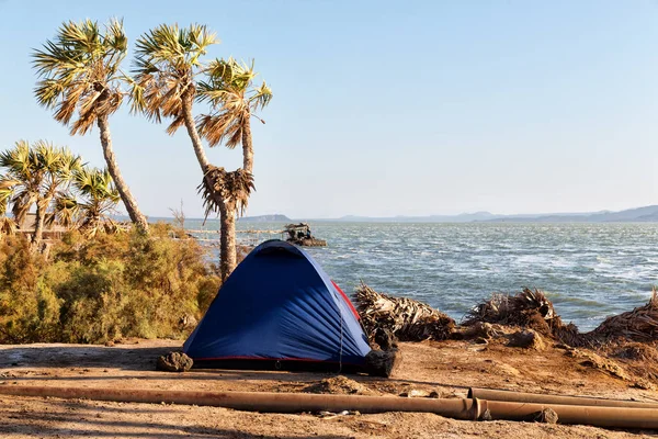 In het nationaal park camping voor toeristische en tent — Stockfoto