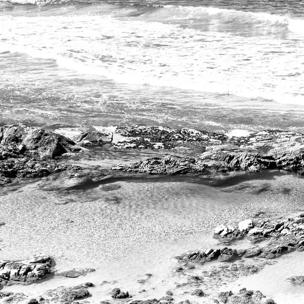 Na austrália a ilha de praia a árvore e rochas — Fotografia de Stock