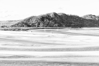 Avustralya plaj Whitsunday Adası cennet kavramı gibi ve rahatla