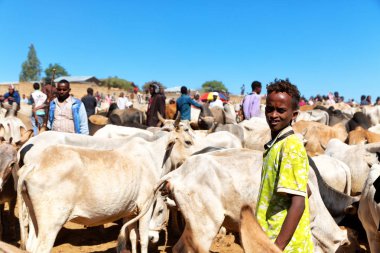  Afrika'da hayvan pazarı çok od inek