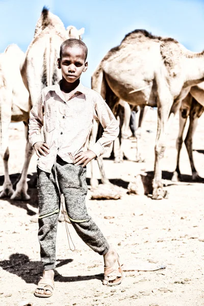 埃塞俄比亚 Babile 2018年1月 在骆驼市场上的不明工人年轻男孩 — 图库照片