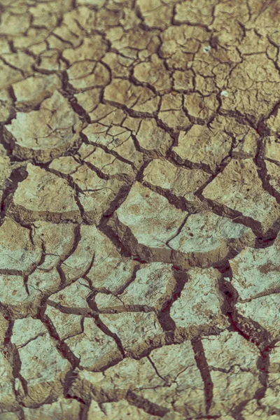 Textura Abstracta Fondo África Suelo Roto Muerto Erosión —  Fotos de Stock