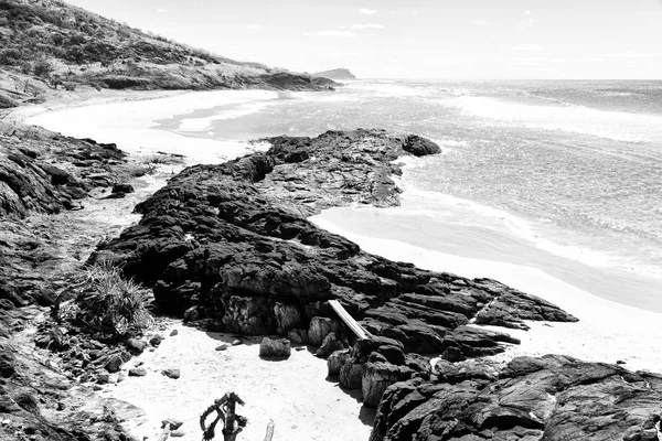 Australia Spiaggia Whitsunday Isola Albero Rocce — Foto Stock