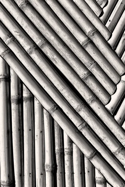 Abstrato textura fundo da parede de bambu — Fotografia de Stock