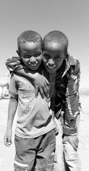 Etiyopya'da Afrika genç erkek deve piyasada — Stok fotoğraf