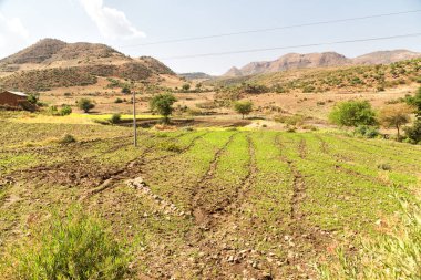  dağ ve tepe içinde milli park