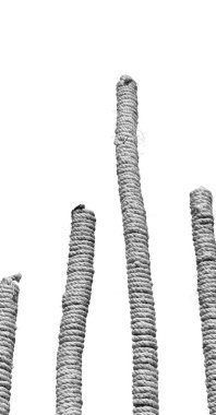  gökyüzü bambu ve ip soyut 