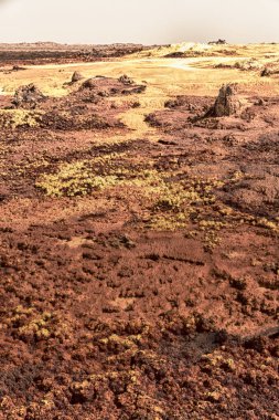  Danakil Etiyopya Afrika volkanik depresyon  