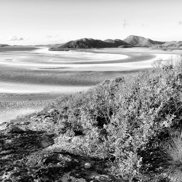 Avustralya'da plaja cennet gibi 