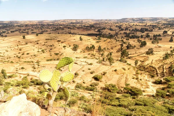  vadi dağ ve gökyüzü panorama 