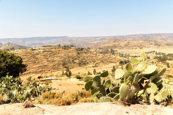  vadi dağ ve gökyüzü panorama 