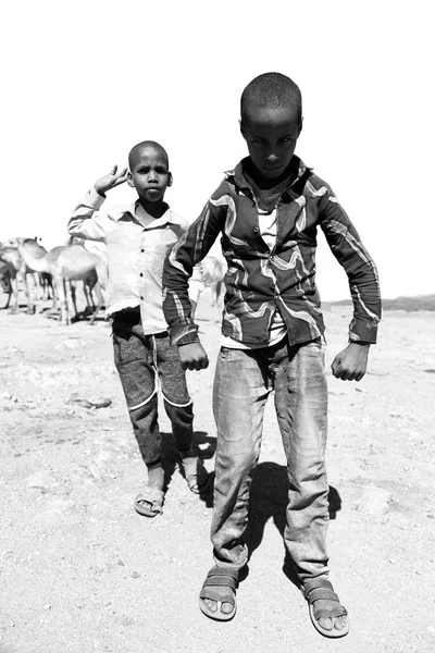 Na Etiópia áfrica meninos no mercado de camelos — Fotografia de Stock