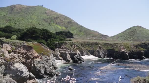 Natursköna Bilder Stranden Garrapata Nationalpark Usa — Stockvideo