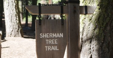   Abd'de sekoya milli parkı içinde şaşırtıcı doğa turist destinatio güzelliği