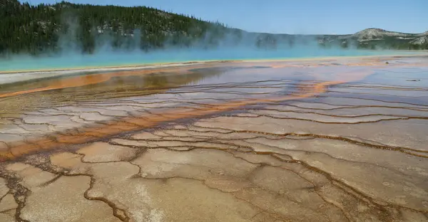 Aux Etats Unis Intérieur Parc National Yellowstone Bravoure Nature Étonnante — Photo