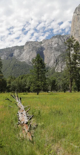 Usa Yosemite Ulusal Parkı Nda Inanılmaz Doğa Güzelliği Olan Turist — Stok fotoğraf