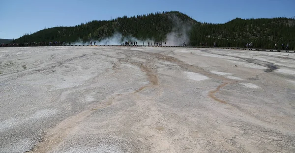 Dentro Del Parque Nacional Yellowstone Brauty Naturaleza Increíble Destino Turístico — Foto de Stock
