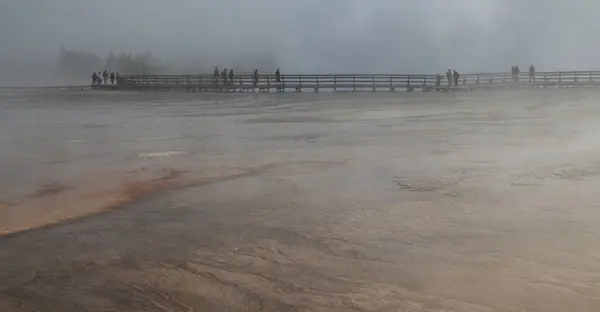 Binnen Het Yellowstone National Park Brauty Van Verbazingwekkende Natuur Toeristische — Stockfoto