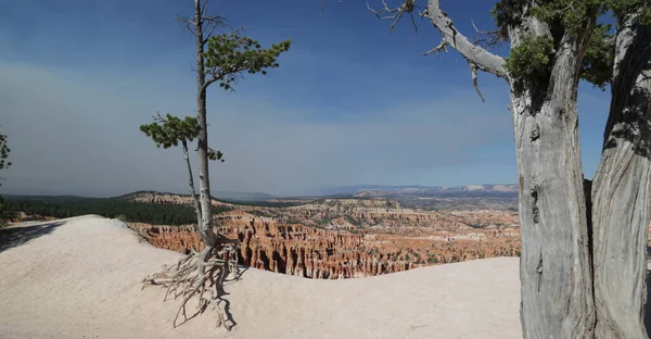 Nos Eua Bryce National Park Beleza Natureza Incrível Destino Turístico — Fotografia de Stock